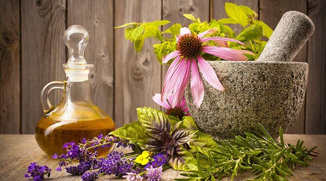 folk herbs for renewal