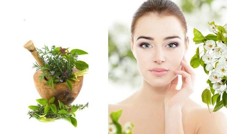 how to use herbs for regeneration
